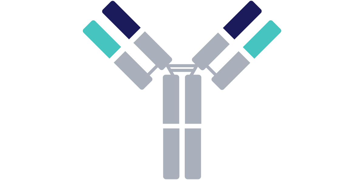 Efficient-mAb-Discovery